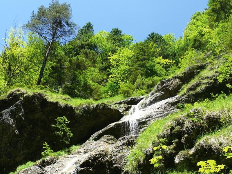 Gasthof Pension Alpenblick Radfeld المظهر الخارجي الصورة